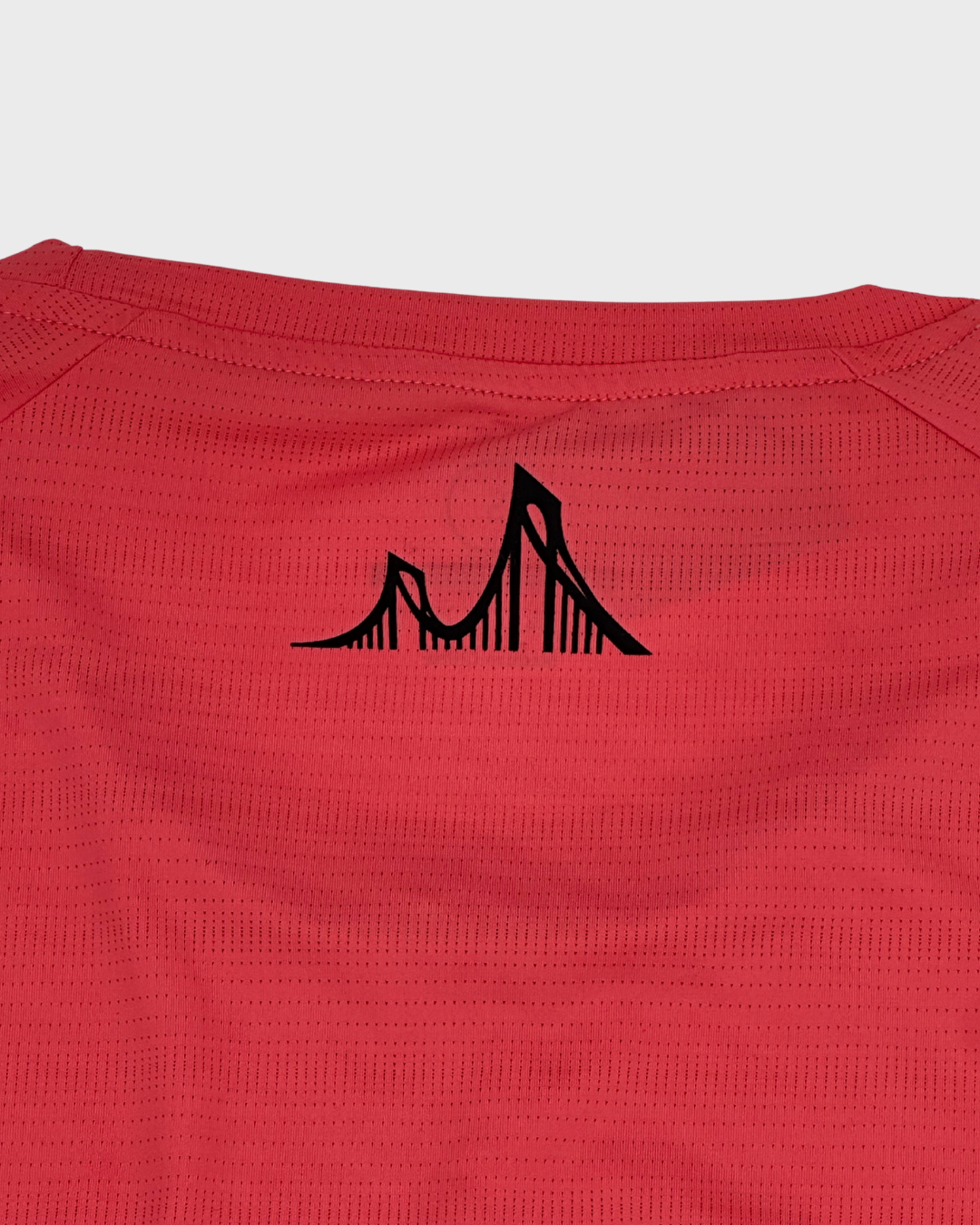 LADIES LAWRENCEVILLE LONGSLEEVE - 4RUN2 PINK